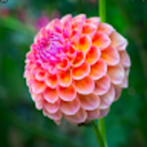 Meet your Posher, Emcg